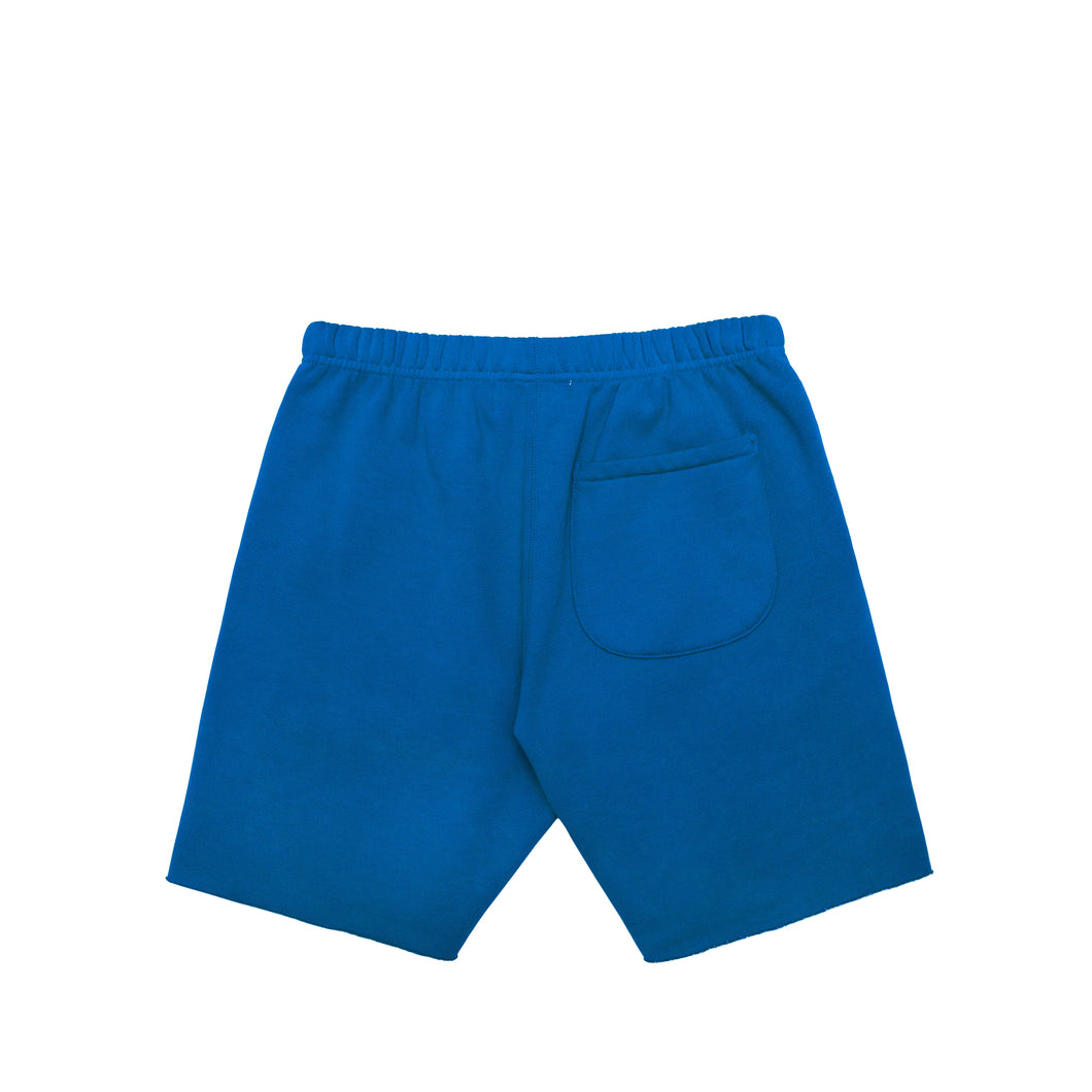VALAS SHORTS | BLUE / BLUE EMBROIDERY