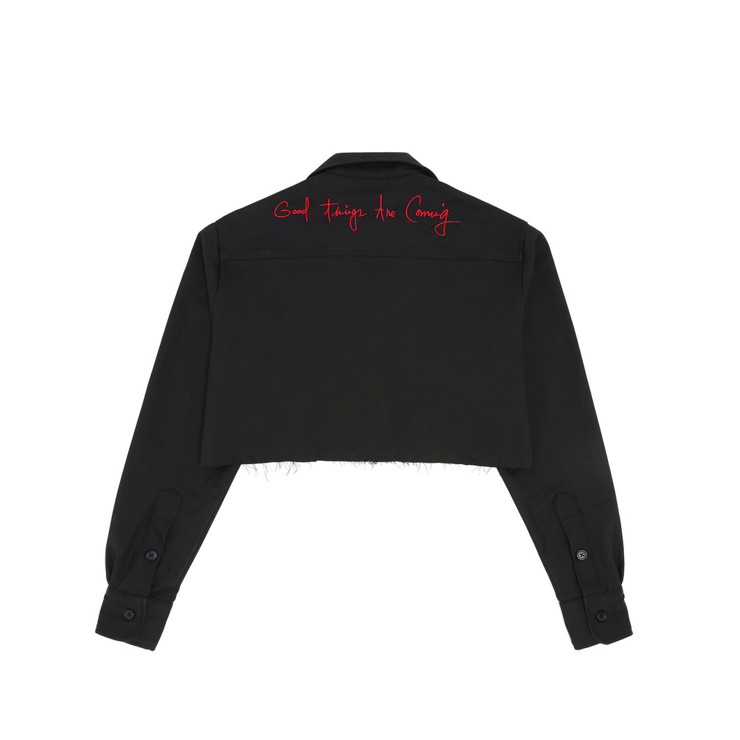 Cropped Varsity V Shirt